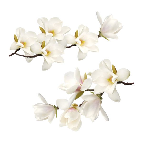 Wall Stickers: White flowers