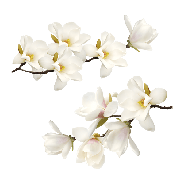 Wall Stickers: White flowers