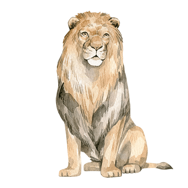 Stickers for Kids: The king of the jungle