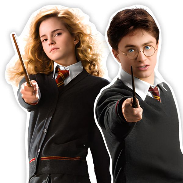 Wall Stickers: Harry Potter characters