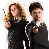 Wall Stickers: Harry Potter characters 4