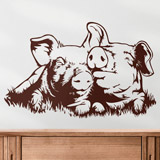 Wall Stickers: Pair of pigs 2