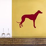Wall Stickers: Spanish Greyhound 2