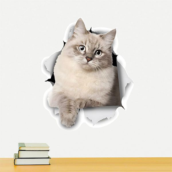 Wall Stickers: Cat goes through the wall