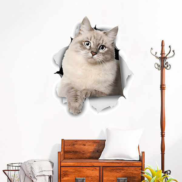 Wall Stickers: Cat goes through the wall