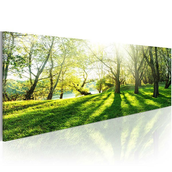 Other products: Sunbeams between trees 1