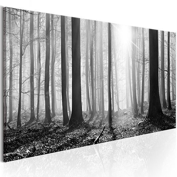 Picture On Canvas Black And White Forest Muraldecal Com