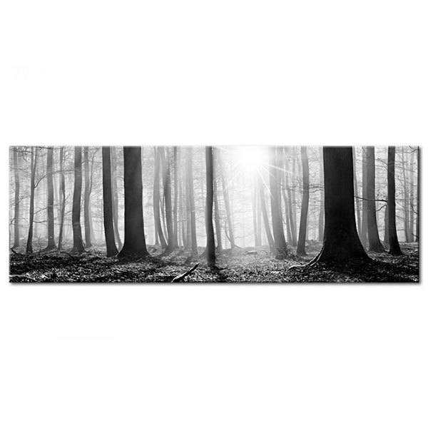 Other products: Black and white forest