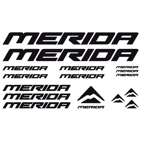 merida stickers bike