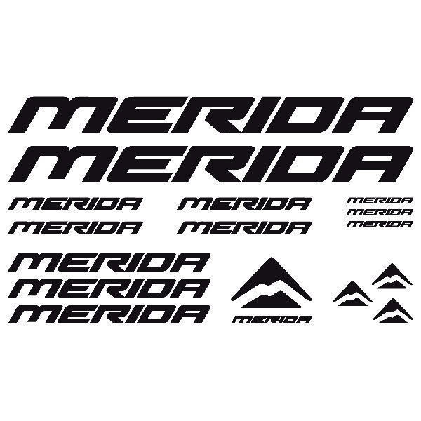 Car & Motorbike Stickers: Set 16X Bike MTB Merida