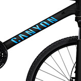 Car & Motorbike Stickers: Kit Bike MTB Canyon F10 2