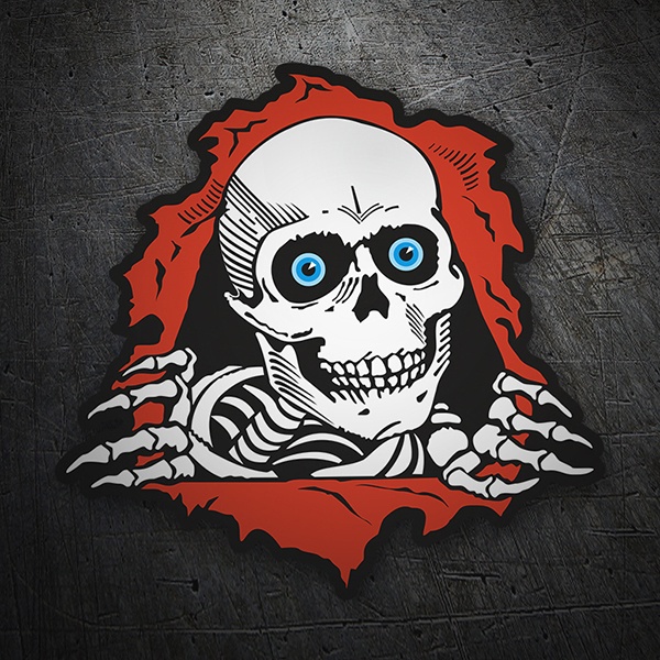 Car & Motorbike Stickers: Powell Peralta