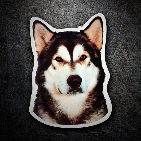 Car & Motorbike Stickers: Alaska Malamute