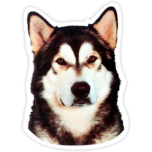 Car & Motorbike Stickers: Alaska Malamute