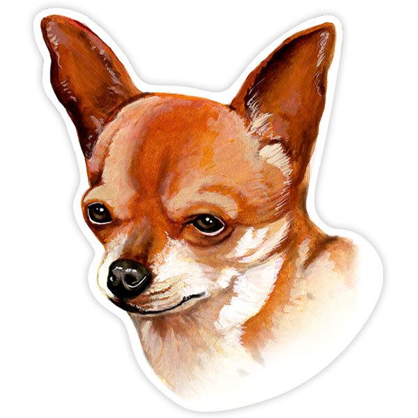 Car & Motorbike Stickers: Chihuahua