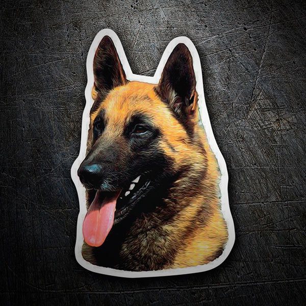 Car & Motorbike Stickers: Belgian Malinois