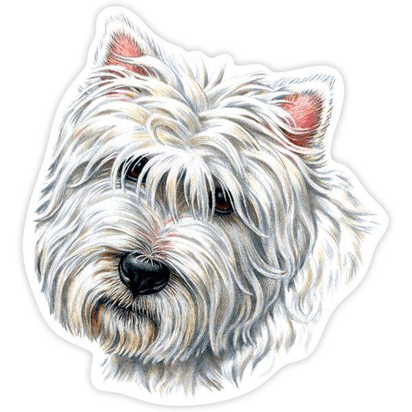 Car & Motorbike Stickers: West Highland Terrier