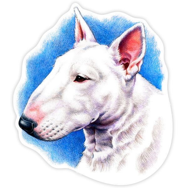 Car & Motorbike Stickers: Bull Terrier