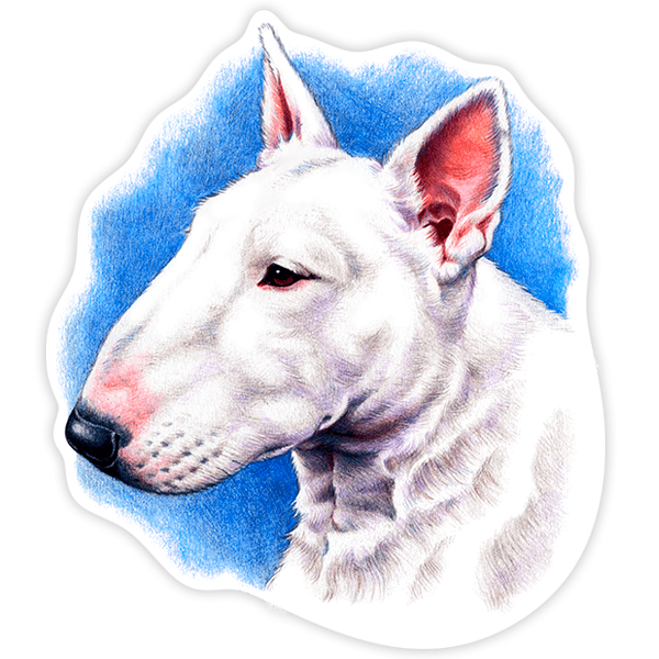 Car & Motorbike Stickers: Bull Terrier 0
