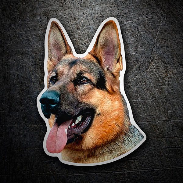 Car & Motorbike Stickers: Head of German Shepherd with Friendly Expression