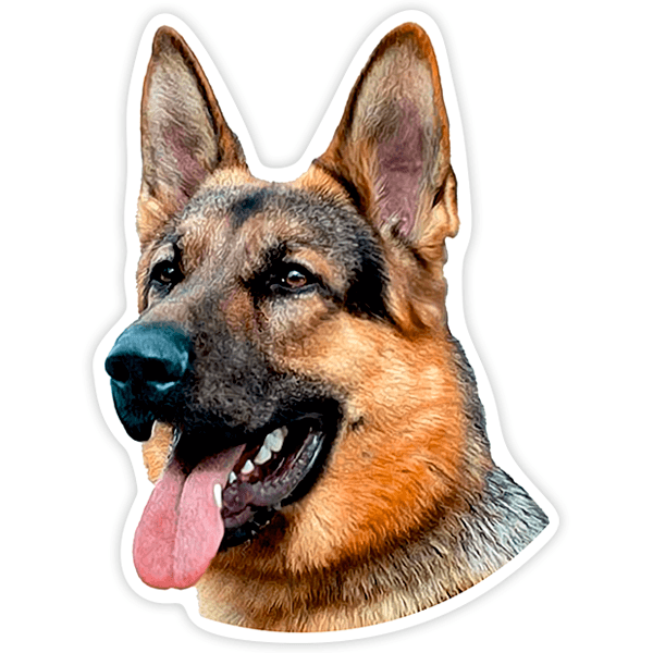 Car & Motorbike Stickers: Head of German Shepherd with Friendly Expression