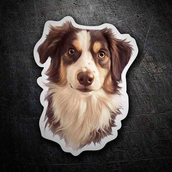Car & Motorbike Stickers: Border Collie