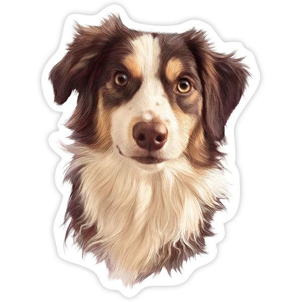 Car & Motorbike Stickers: Border Collie