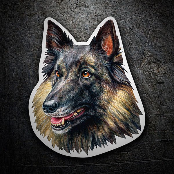 Car & Motorbike Stickers: Belgian Tervuren