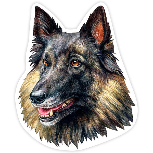 Car & Motorbike Stickers: Belgian Tervuren