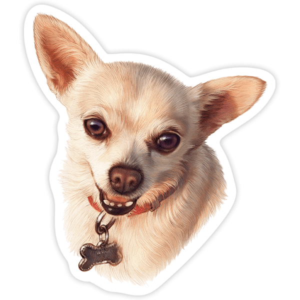Sticker dog White Chihuahua | MuralDecal.com