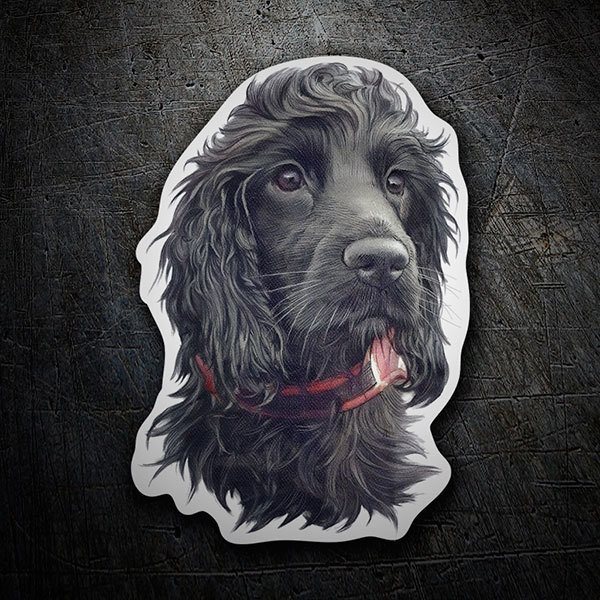 Car & Motorbike Stickers: Black Spaniel Cocker