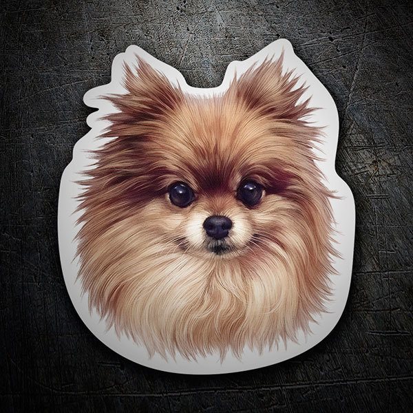 Car & Motorbike Stickers: German Spitz