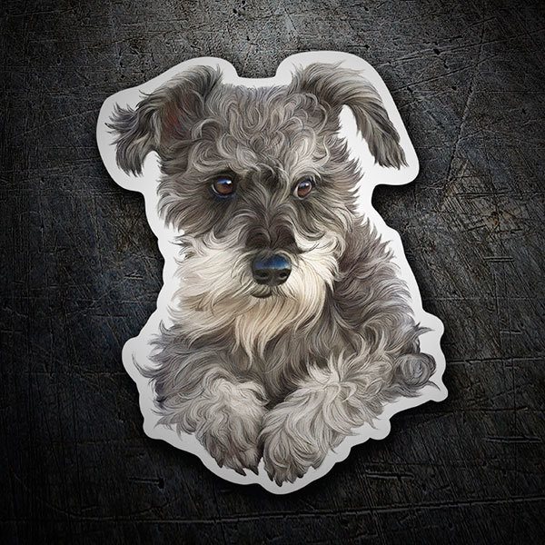 Car & Motorbike Stickers: Schnauzer puppy