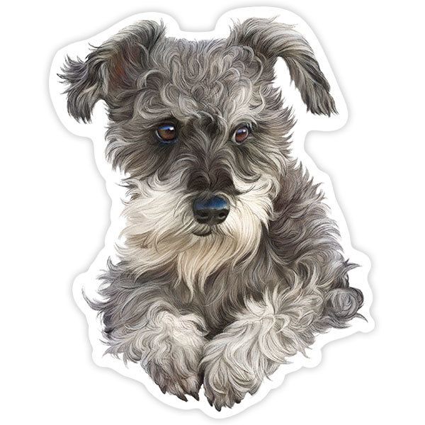 Car & Motorbike Stickers: Schnauzer Puppy