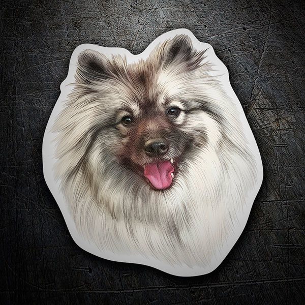 Car & Motorbike Stickers: Pomeranian Spitz