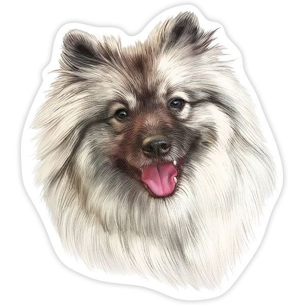 Car & Motorbike Stickers: Pomeranian