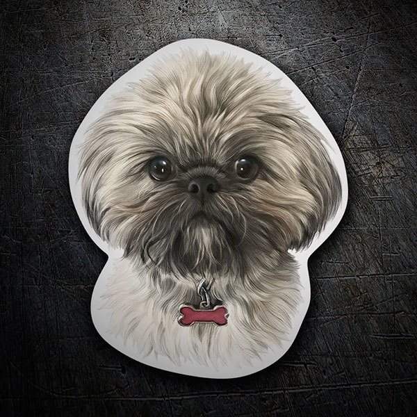 Car & Motorbike Stickers: Shih Tzu