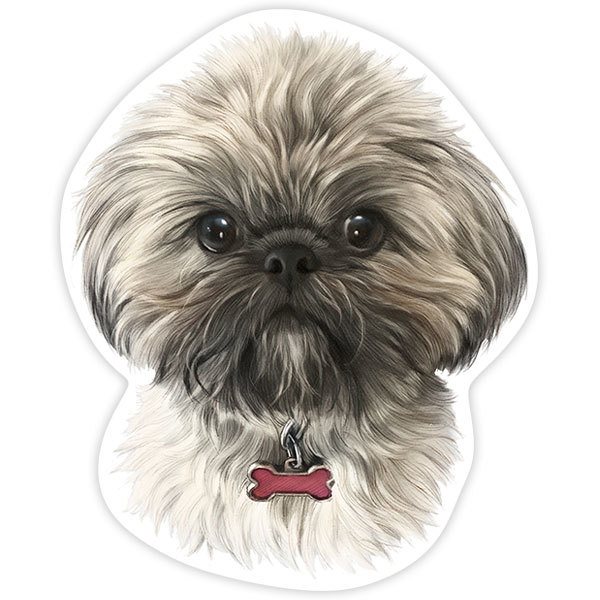 Car & Motorbike Stickers: Shih Tzu