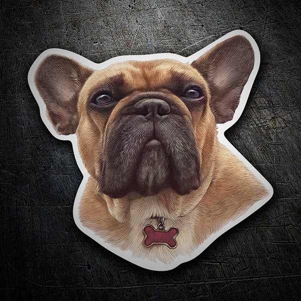 Car & Motorbike Stickers: Brown French Bulldog