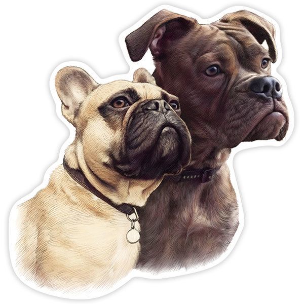 Car & Motorbike Stickers: French Bulldog Couple