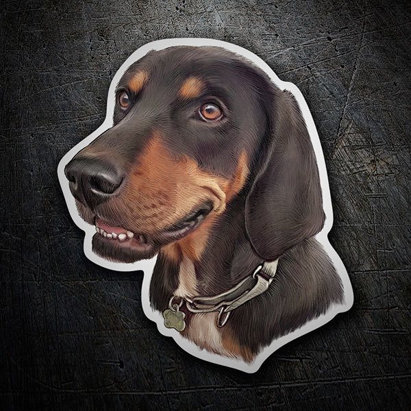 Car & Motorbike Stickers: German dachshund
