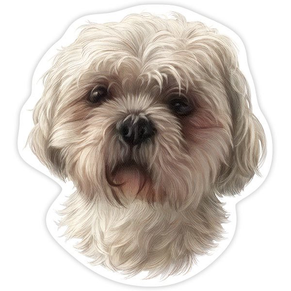 Maltipoo Stickers Redbubble