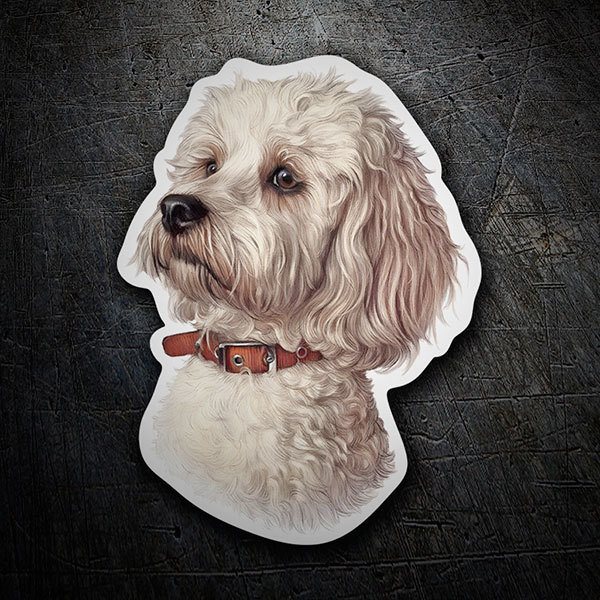 Car & Motorbike Stickers: White Maltese bichon