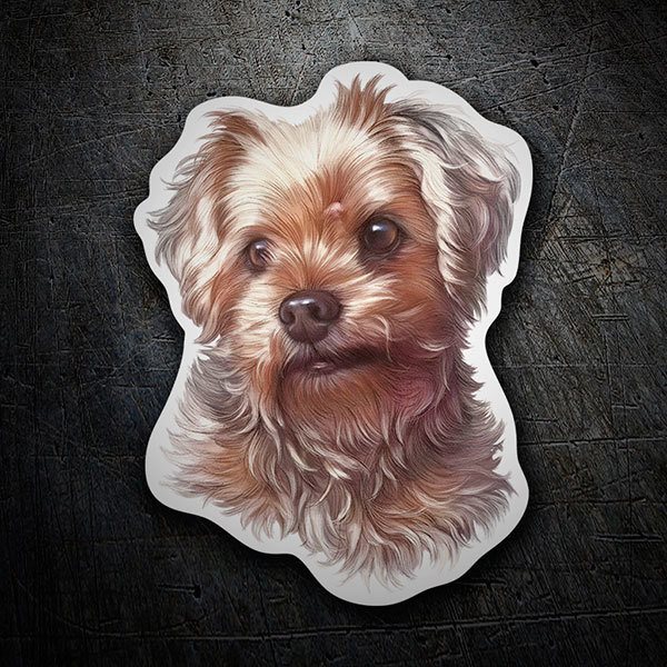 Car & Motorbike Stickers: Yorkshire Terrier