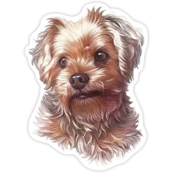 Car & Motorbike Stickers: Yorkshire Terrier