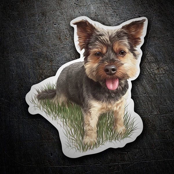 Car & Motorbike Stickers: Playful Yorkie