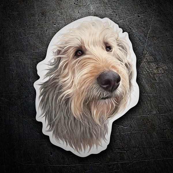 Car & Motorbike Stickers: Griffon vandeano basset small