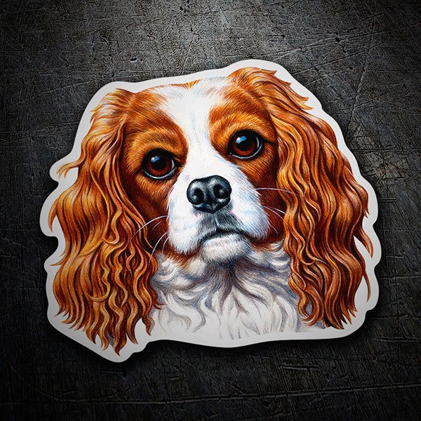 Car & Motorbike Stickers: Cavalier King Charles