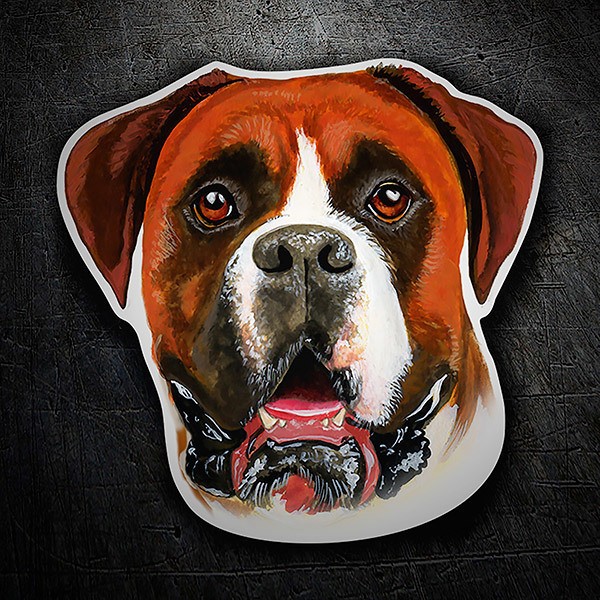 Car & Motorbike Stickers: Boxer