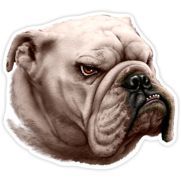 Car & Motorbike Stickers: Bulldog